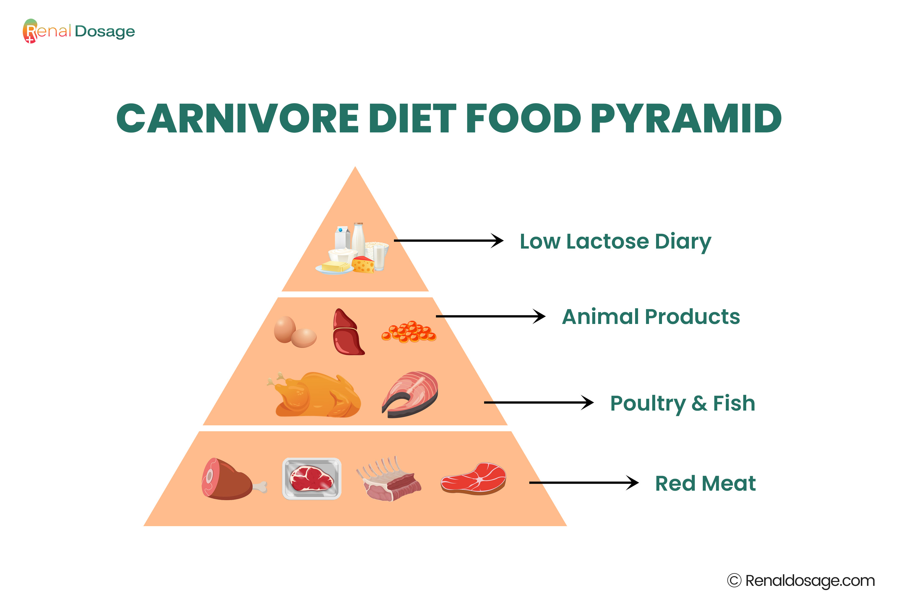 CARNIVORE DIET Food Pyramid